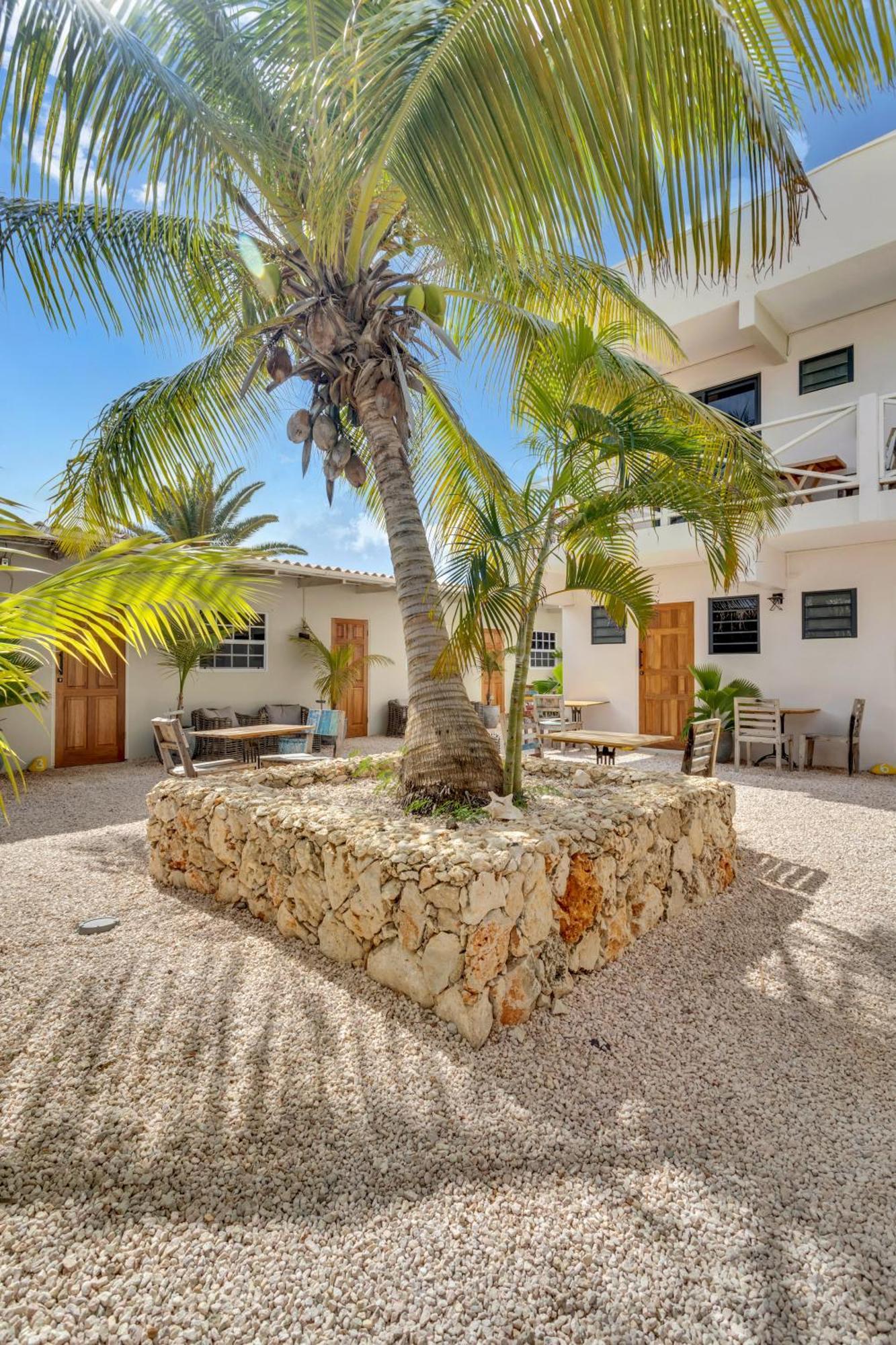 ホテル The Hut Bonaire クラレンダイク エクステリア 写真